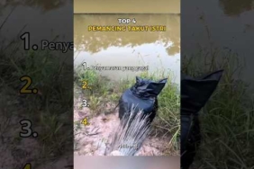top 4 pemancing takut istri🤣