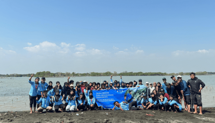 kkn-mit-22-posko-188-edukasi-dan-tanam-500-bibit-mangrove-di-pesisir-kartika-jaya