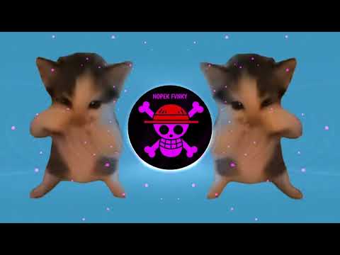 DJ KICAU KICAU MANIA REMIX ANGKAT LAH TOPI MINAT MONGGO JAPRI SLOW VIRAL TIKTOK FULL SONG 2026