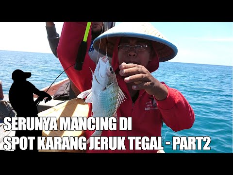 Serunya mancing di spot Karang Jeruk Tegal – April 2019 – Angler Kerehore #4