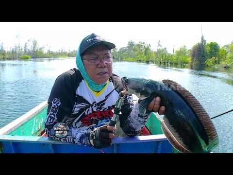 MANCING MANIA – PESTA TOMAN DI BERBAK (9/7/17) 3-1