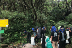 bukan-cuma-soal-sampah:-mengapa-leave-no-trace-penting-bagi-setiap-pendaki?
