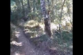 Video amatir Penampakan di gunung pagi hari