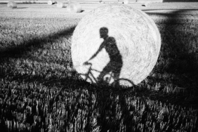 community-gallery:-playing-with-shadows