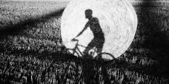 Community Gallery: Playing with Shadows