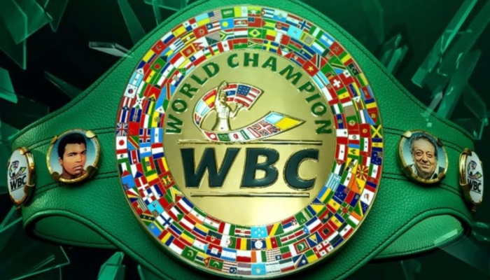 wbc-rilis-peringkat-tinju-putra,-jepang-dominasi-tiga-divisi