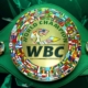 wbc-rilis-peringkat-tinju-putra,-jepang-dominasi-tiga-divisi