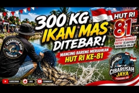 300 KG IKAN MAS DITEBAR! 🔥 Mancing Bareng Meriahkan HUT RI ke-81 | Fishing 08