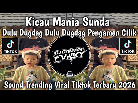 KICAU MANIA SUNDA DULUG DUG DAG VERSI DANUL EL KHANZA PERMISI KAKAK KITA MAU NGAMEN VIRAL TIKTOK
