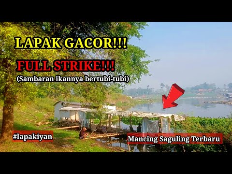 GACOR!!! STRIKE IKAN BERTUBI-TUBI//MANCING SAGULING TERBARU//LAPAK IYAN
