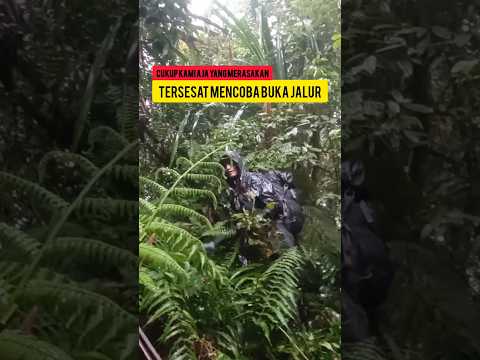 Cukup kami aja yang rasakan ‼️ketika pendaki tersesat di hutan wates-gunung pojok tiga kuningan