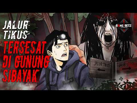 Tersesat di Gunung Sibayak – 6 Pendaki Menghadapi Teror Malam