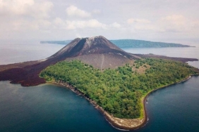 ada-cagar-alam-di-krakatau,-kawasan-langka-tempat-kehidupan-kembali-tumbuh-dari-nol