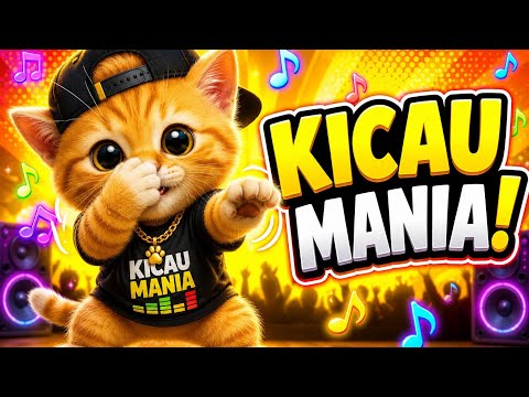 Kucing Joget Kicau Mania 😹🎵 DJ Remix Viral | Kucing Kicau Mania Lucu