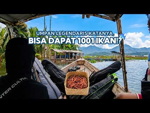 UMPAN SAKTI🎣 Semua Jenis Ikan Langsung Nafsu Makan?! – Mancing Cirata Terbaru 2026 #22