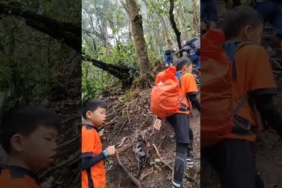 Kondisi Trek Gunung Gede Via Putri | ##pendaki #story #eksplore #hiking