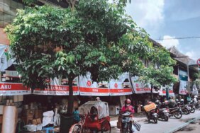 cuaca-panas-bikin-pendapatan-umkm-turun,-begini-solusi-dari-pakar-ugm