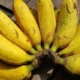 300-lebih-jenis-pisang-tersimpan-di-indonesia,-gen-unggulnya-diburu-untuk-hadapi-krisis-iklim