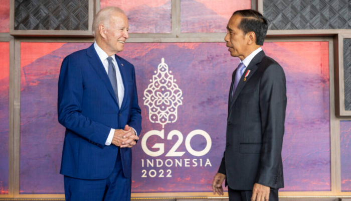 indonesia-jadi-satu-satunya-negara-asean-di-g20,-apa-alasannya?