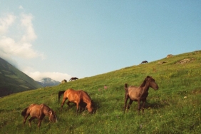 lomography-community-recap:-august-2026