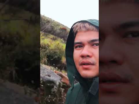perjalanan dimulai #fyp #fypシ #fyptiktok #pendaki #pendakiindonesia #pendakigunung