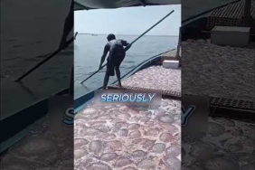 #bts