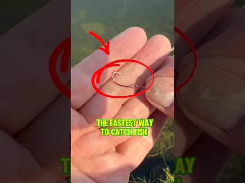 How To CATCH Fish TUTORIAL! 🎣🐟💯 #shorts #fishing