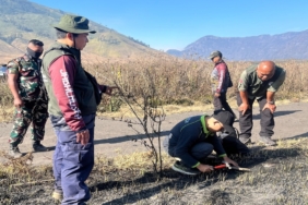 kemenhut-usut-dugaan-tindak-pidana-pada-kebakaran-berulang-di-bromo
