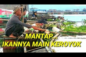 MANCING IKAN NILA MONSTER PENGHUNI KERAMBAH TUA. (BERBURU IKAN KOLAM ANGKER WADUK DANAU CIRATA)
