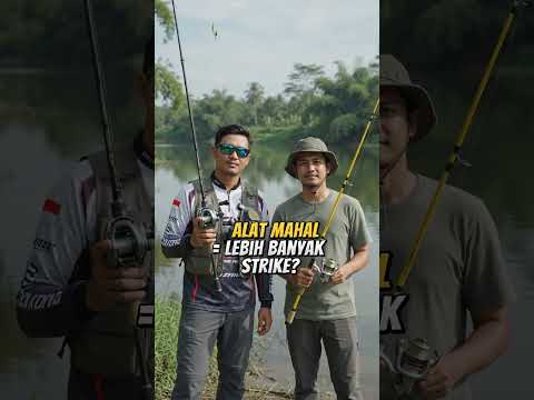 Apakah semakin mahal semakin gacor?  #fishing #mancing #angler #mancingmantap #mancingmania