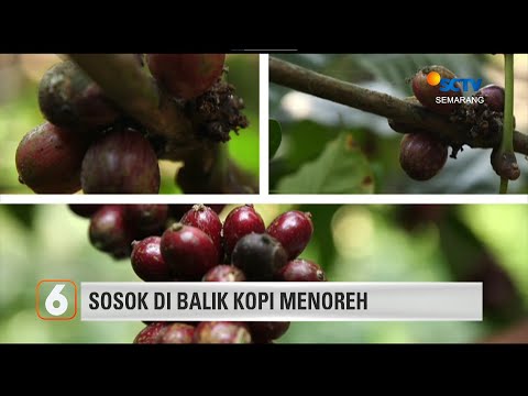 Sosok di Balik Kopi Menoreh | Liputan 6 Semarang