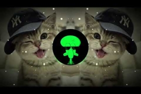DJ KICAU KICAU MANIA – GASPOL DANGAK SOUND VIRAL TIKTOK TERBARU 2026