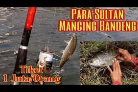 Tiket 1 juta per orang || Mancing bandeng babon