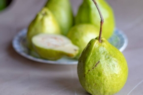 kisah-jambu-adik-dan-tupai,-cerita-rakyat-dari-lampung