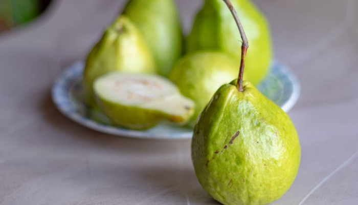 kisah-jambu-adik-dan-tupai,-cerita-rakyat-dari-lampung