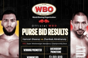wbo-umumkan-pemenang-lelang-hadiah-sheeraz-lawan-alimkhanuly