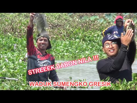 STREEEK BABON NILA | Mancing Nila Waduk Sumengko Gresik