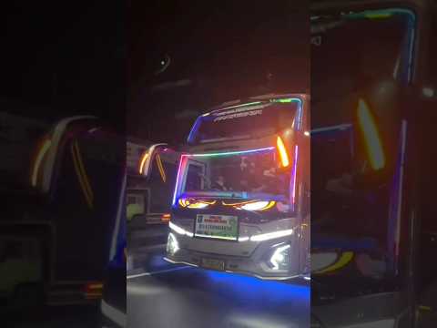 bus telolet,kicau kicau mania #shorts #viral #funny #bustelolet #kicaumania