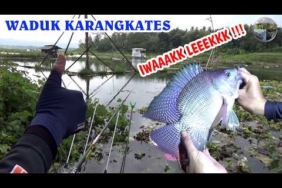 HUJAN BADAI MEMBAWA BABON NILA TERNYATA !!! Mancing Nila Waduk Karangkates Malang
