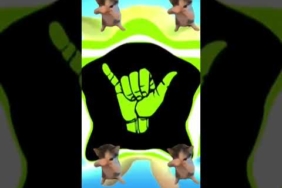 DJ KICAU KICAU KICAU MANIA SLOW VIRAL TIKTOK FULL SONG MAMAN FVNDY 2026