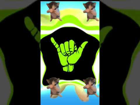 DJ KICAU KICAU KICAU MANIA SLOW VIRAL TIKTOK FULL SONG MAMAN FVNDY 2026
