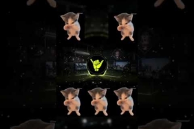 DJ KICAU KICAU KICAU MANIA SLOW VIRAL TIKTOK TERBARU 2026