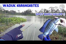 PERDANA KE SPOT INI TERNYATA MANTAPPP !! Mancing Nila Waduk Karangkates