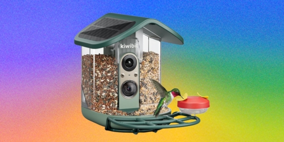 Kiwibit Bird Feeder 2 Pro Review: Premium but Paywalled