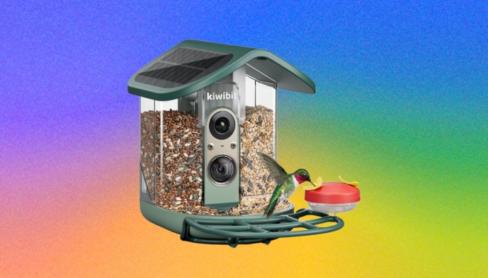 kiwibit-bird-feeder-2-pro-review:-premium-but-paywalled