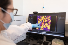 ai-models-built-from-rat-brains-just-got-closer-to-reality