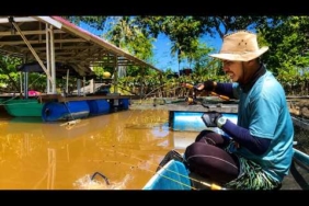 MENGENASKAN !! UMPAN KILLER ANDALAN SAYA TAK BERHENTI DIGASAK UDANG BESAR, MANCING UDANG GALAH