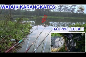 DETIK DETIK PELAMPUNG HILANG TERUS !! Mancing Nila Waduk Karangkates