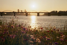 capturing-the-city-with-the-lomo-mc-a:-lomoamigo-jeon-sangyeol