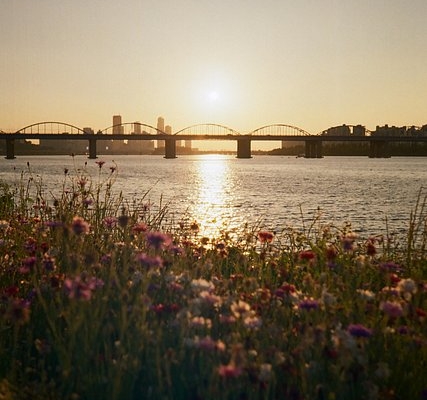 capturing-the-city-with-the-lomo-mc-a:-lomoamigo-jeon-sangyeol